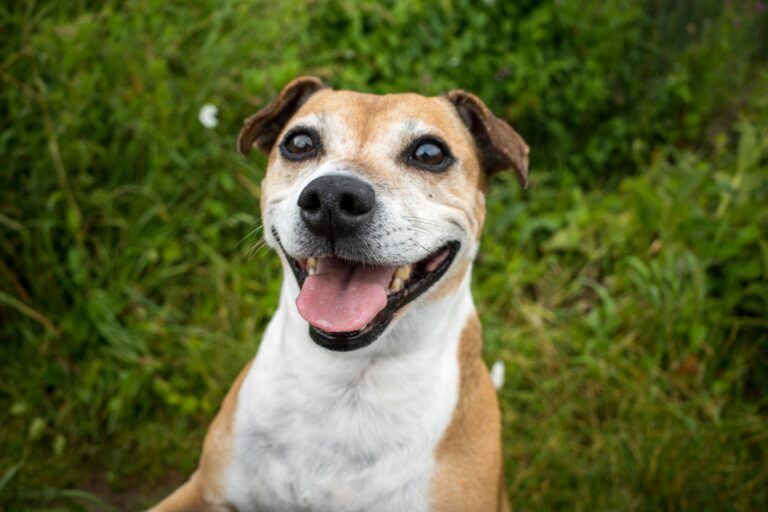 Don’t you … forget about me